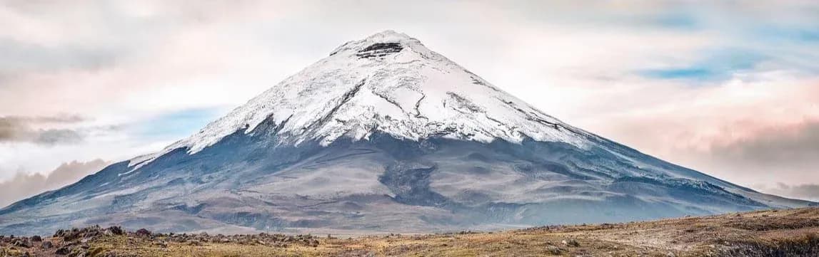L'Equateur en liberté.