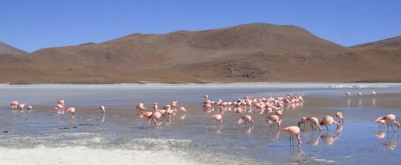 Bolivie - Paysages et Culture.